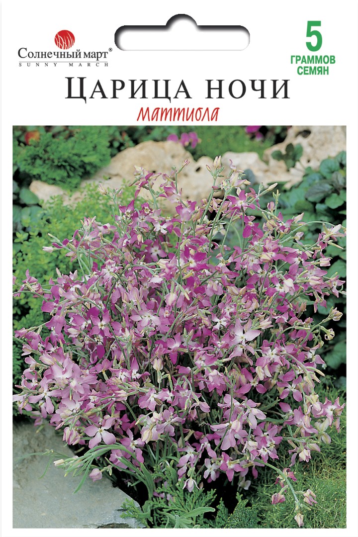 Маттиола Царица ночи